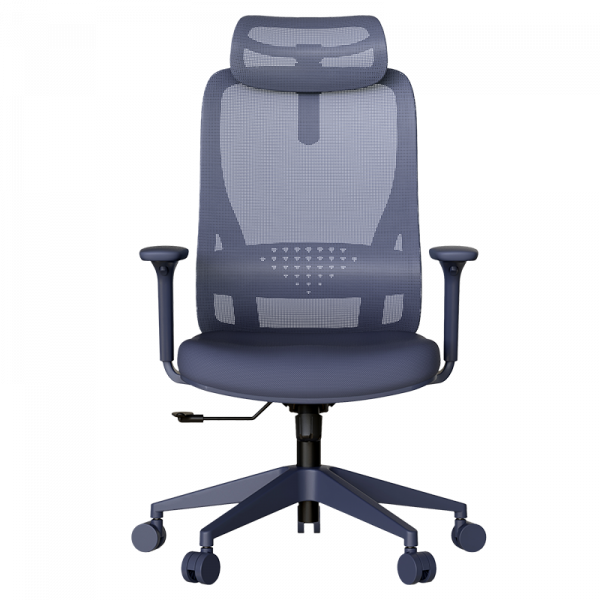 Син ергономичен стол.