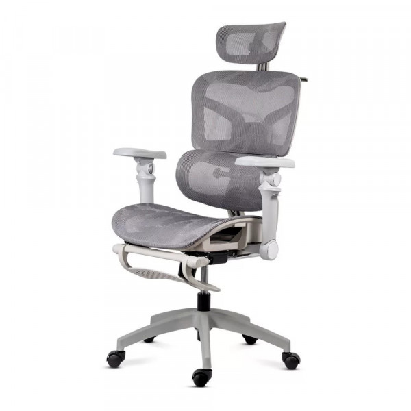 Ергономичен стол Montiel, меш. сив